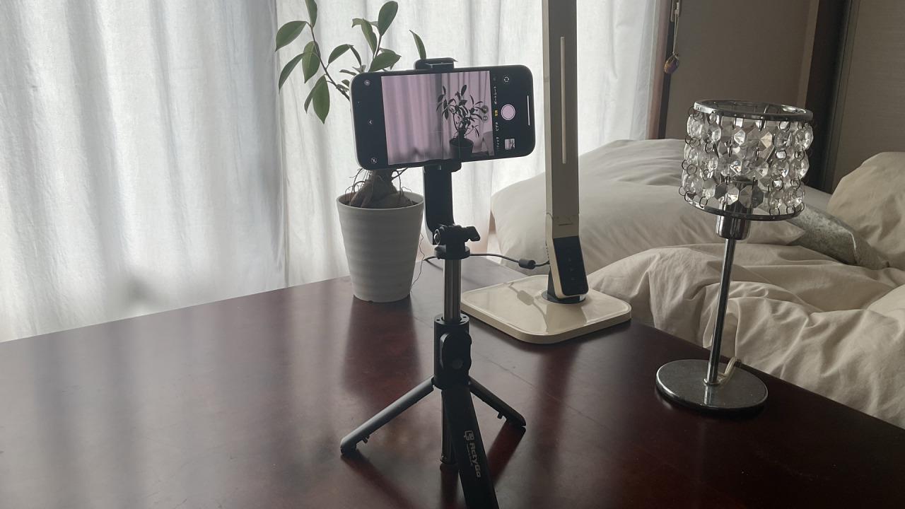 撮影をしている